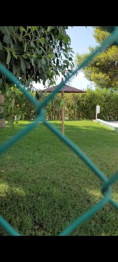 Apartamento Bajo Con Terraza Y Piscina Torrevieja Kültér fotó