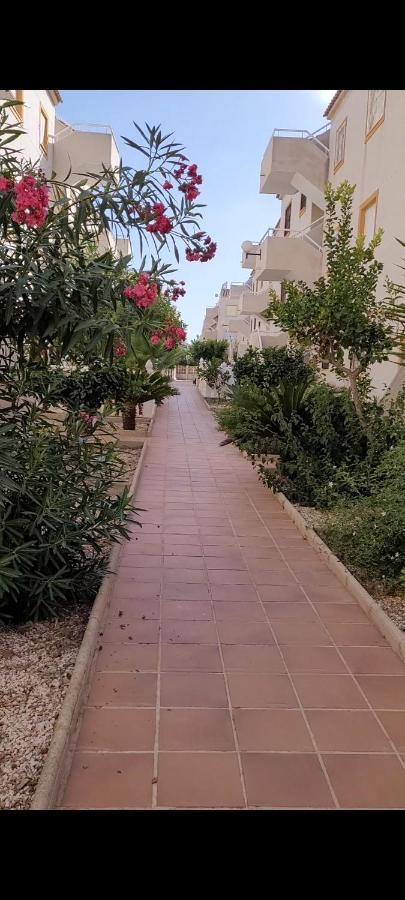 Apartamento Bajo Con Terraza Y Piscina Torrevieja Kültér fotó